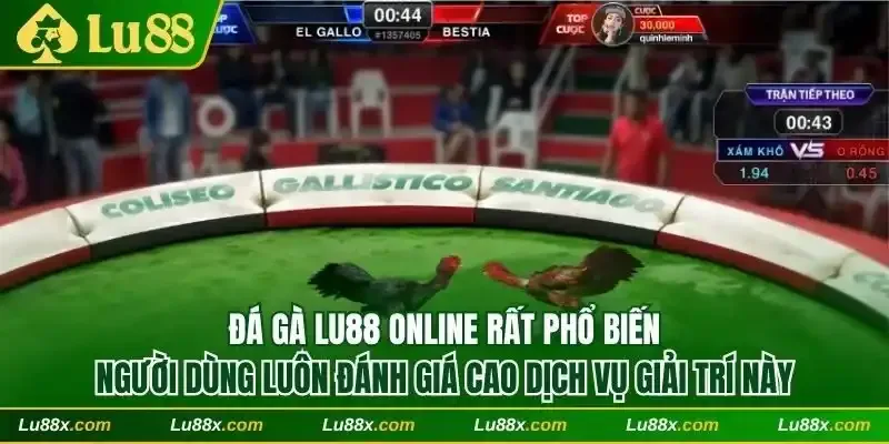Đá gà Lu88 phổ biến và được đánh giá cao