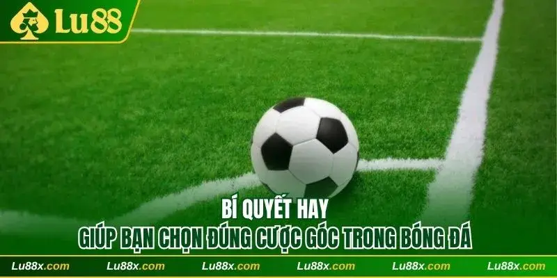 Bí quyết hay giúp bạn chọn đúng cược góc trong bóng đá
