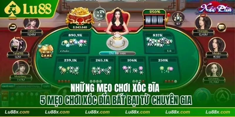 Khám phá 5 mẹo chơi xóc đĩa bất bại từ chuyên gia